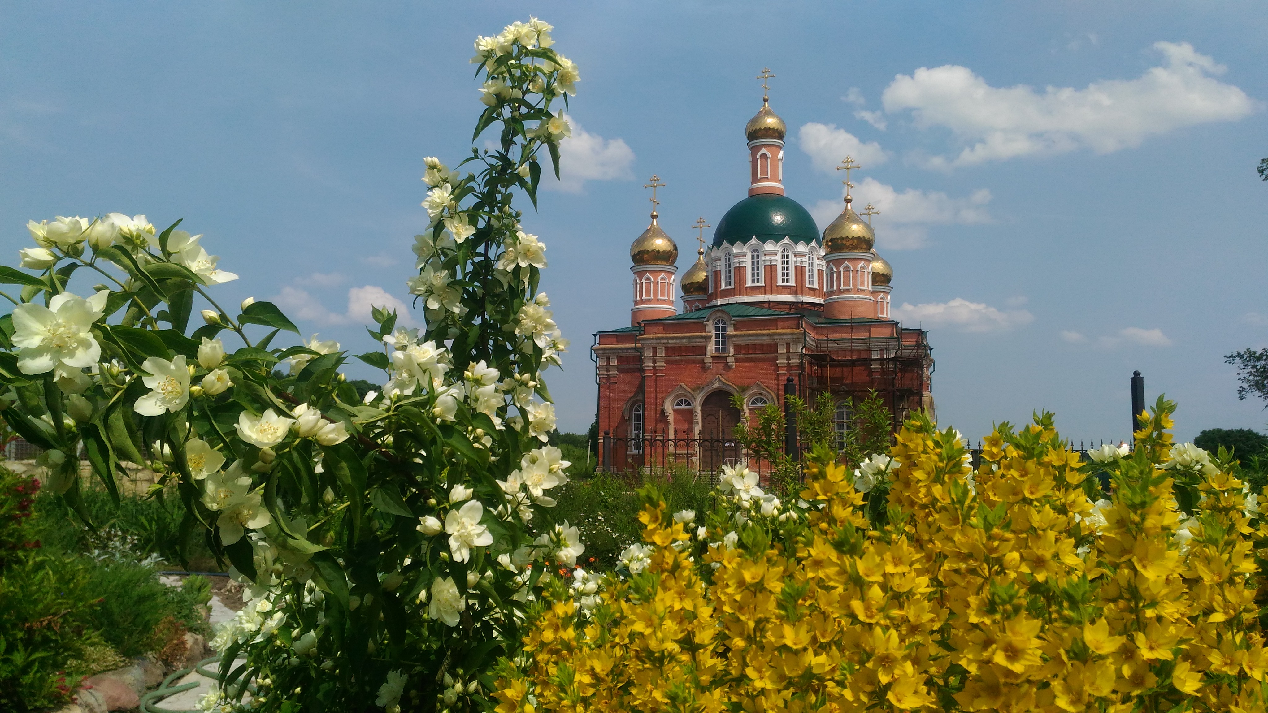Краски лета