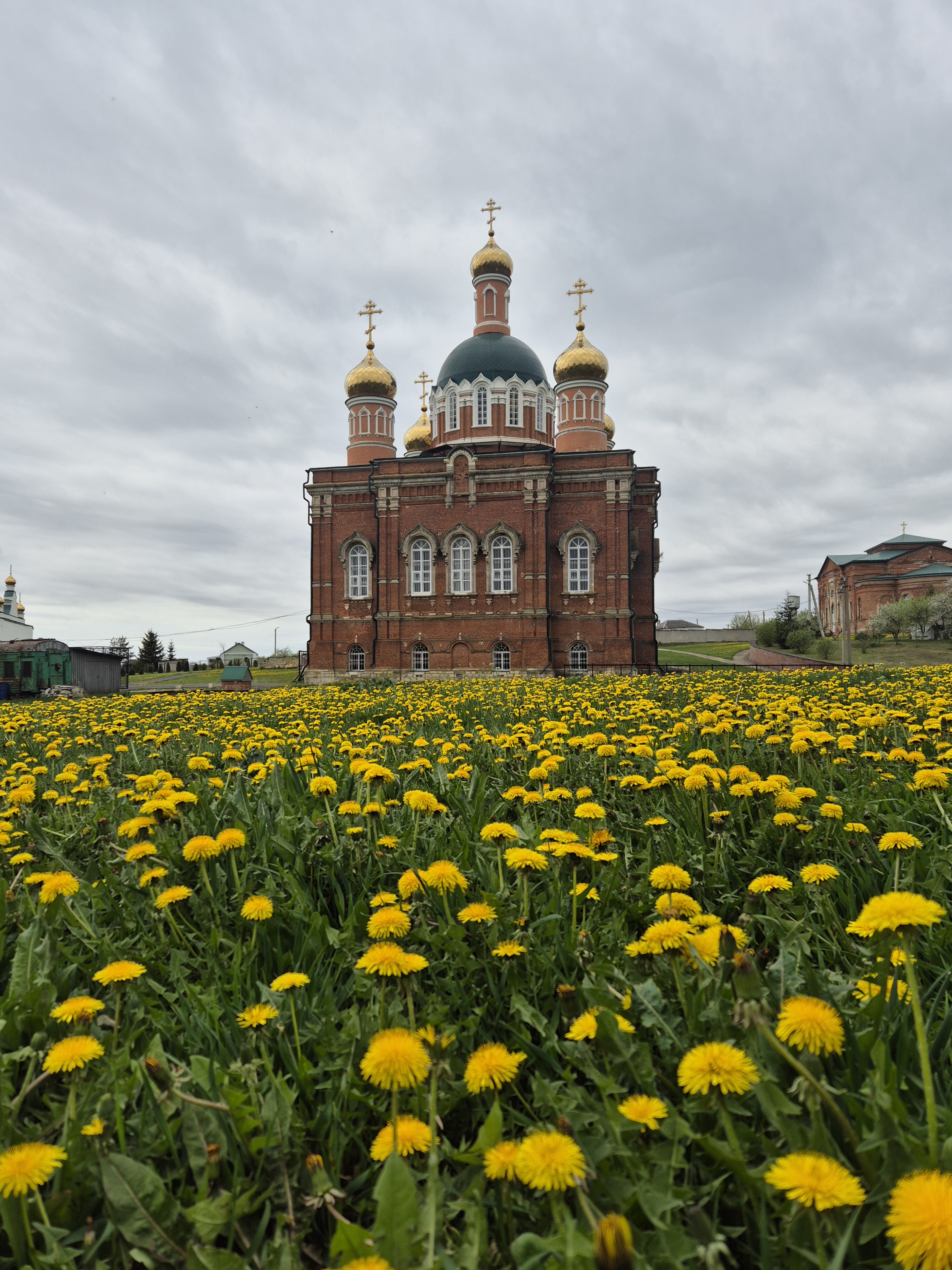 Весенняя палитра