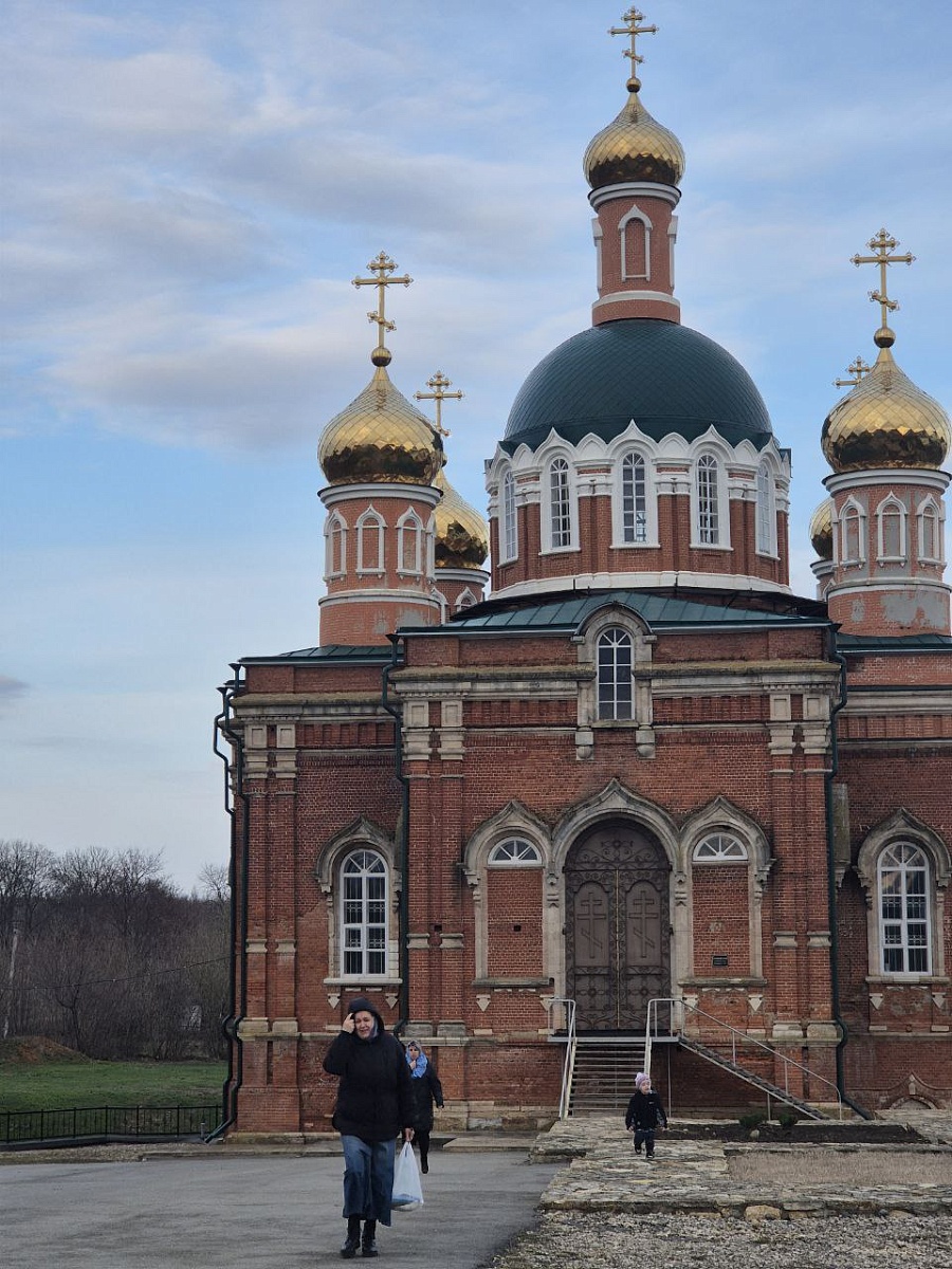 "ОСАННА В ВЫШНИХ, БЛАГОСЛОВЕН ГРЯДЫЙ ВО ИМЯ ГОСПОДНЕ!"   — фото 20
