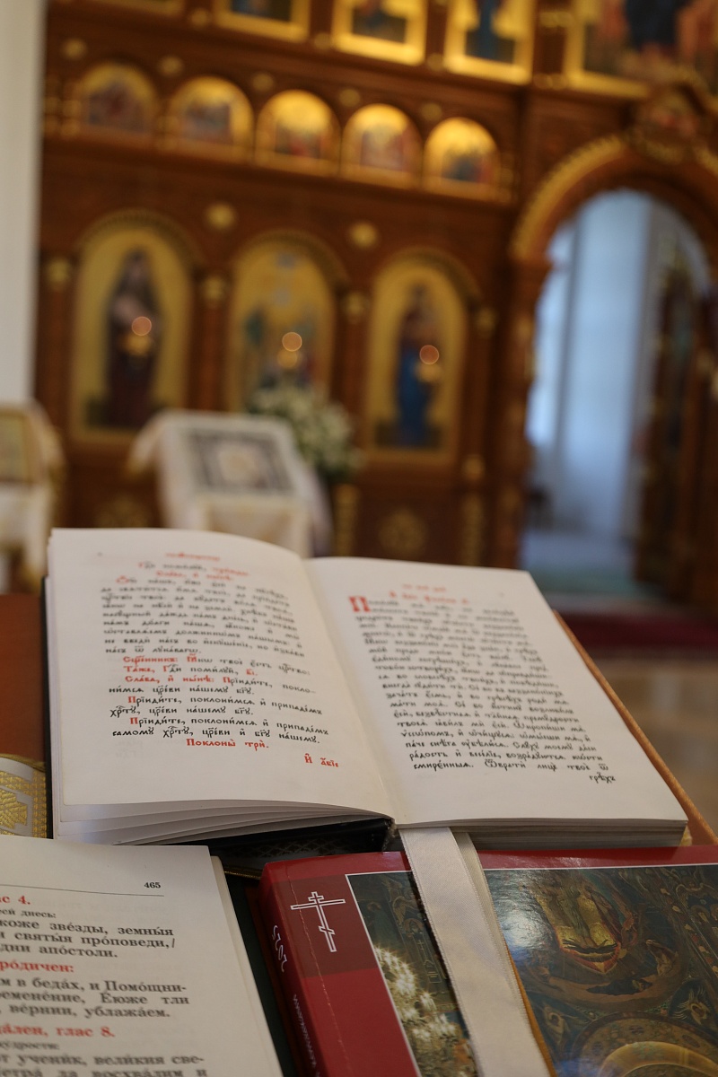 Праздник Первоверховных апостолов Петра и Павла в Сезеновской обители. — фото 9