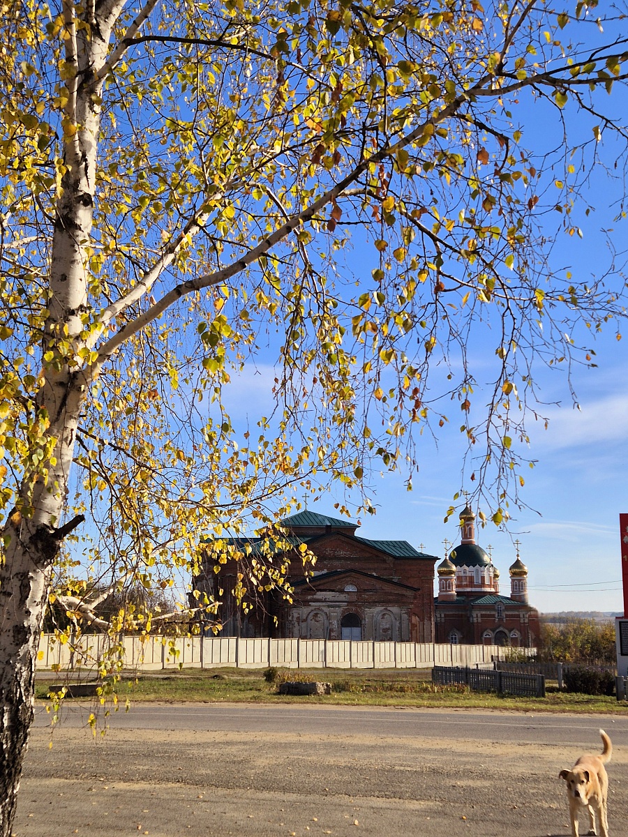 ОСЕНЬ - ВРЕМЯ ТИШИНЫ — фото 16