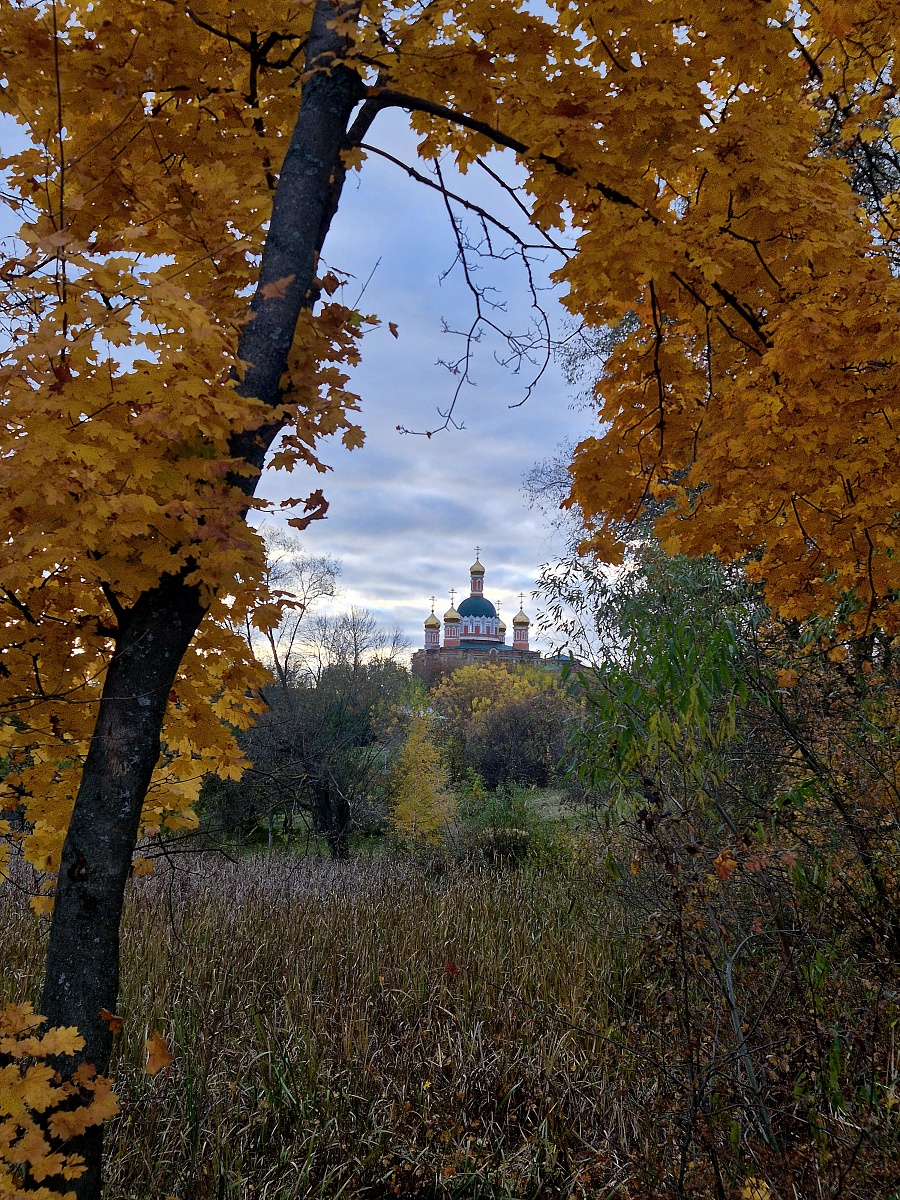 ЗОЛОТАЯ ОСЕНЬ — фото 6