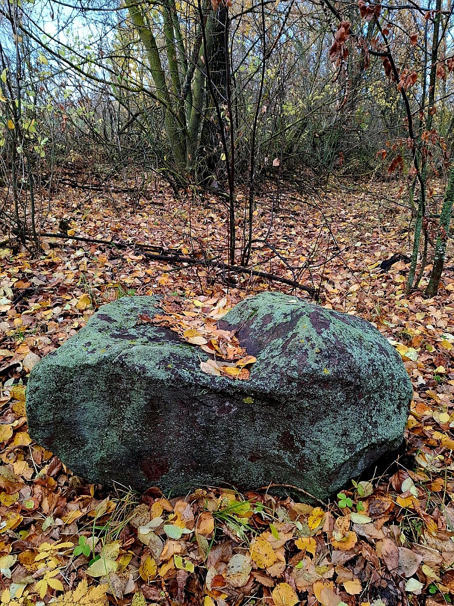 ЗОЛОТАЯ ОСЕНЬ — фото 12