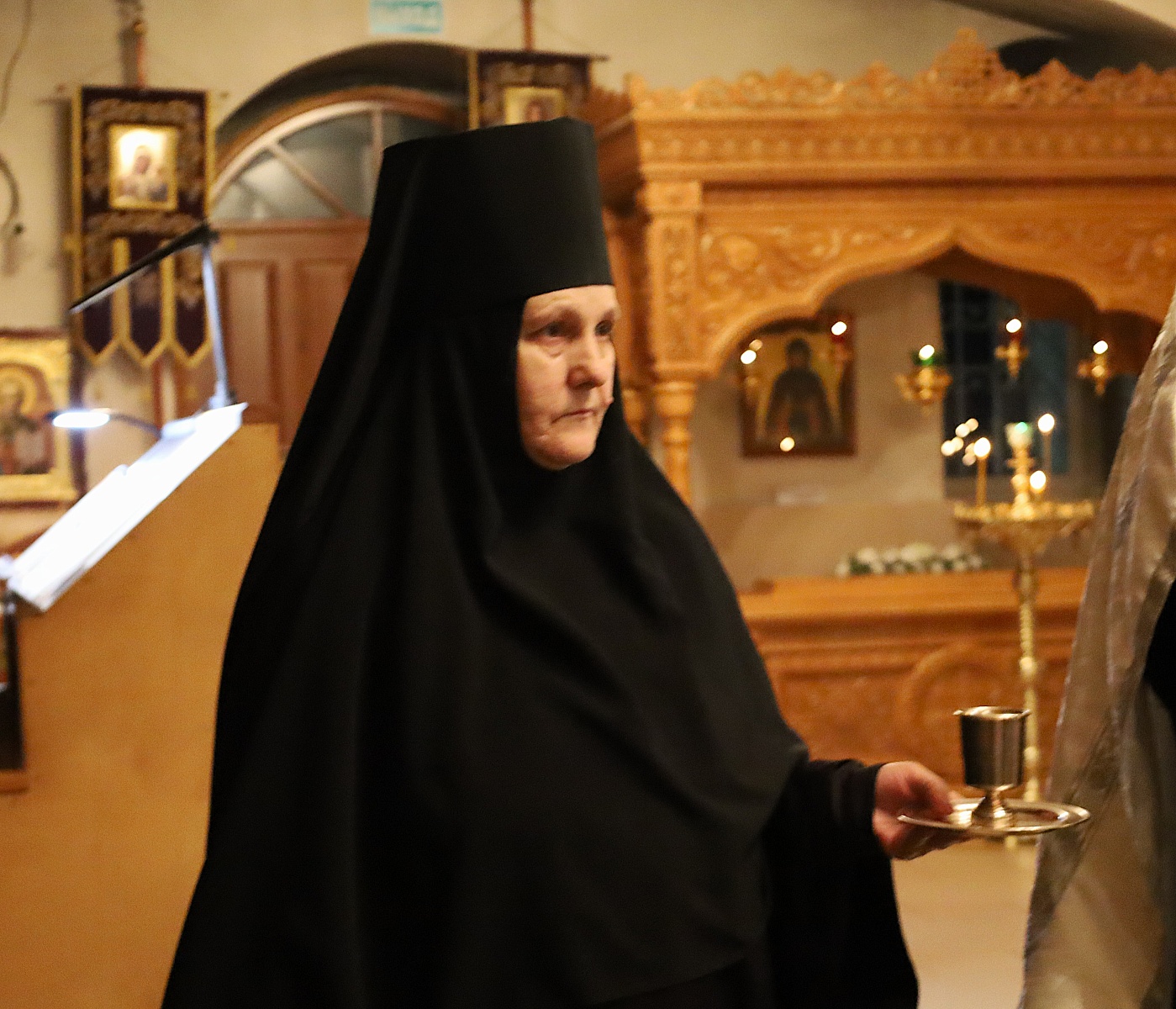 Явися Спас, благодать и истина, во струях Иорданских — фото 5