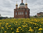 Весенняя палитра