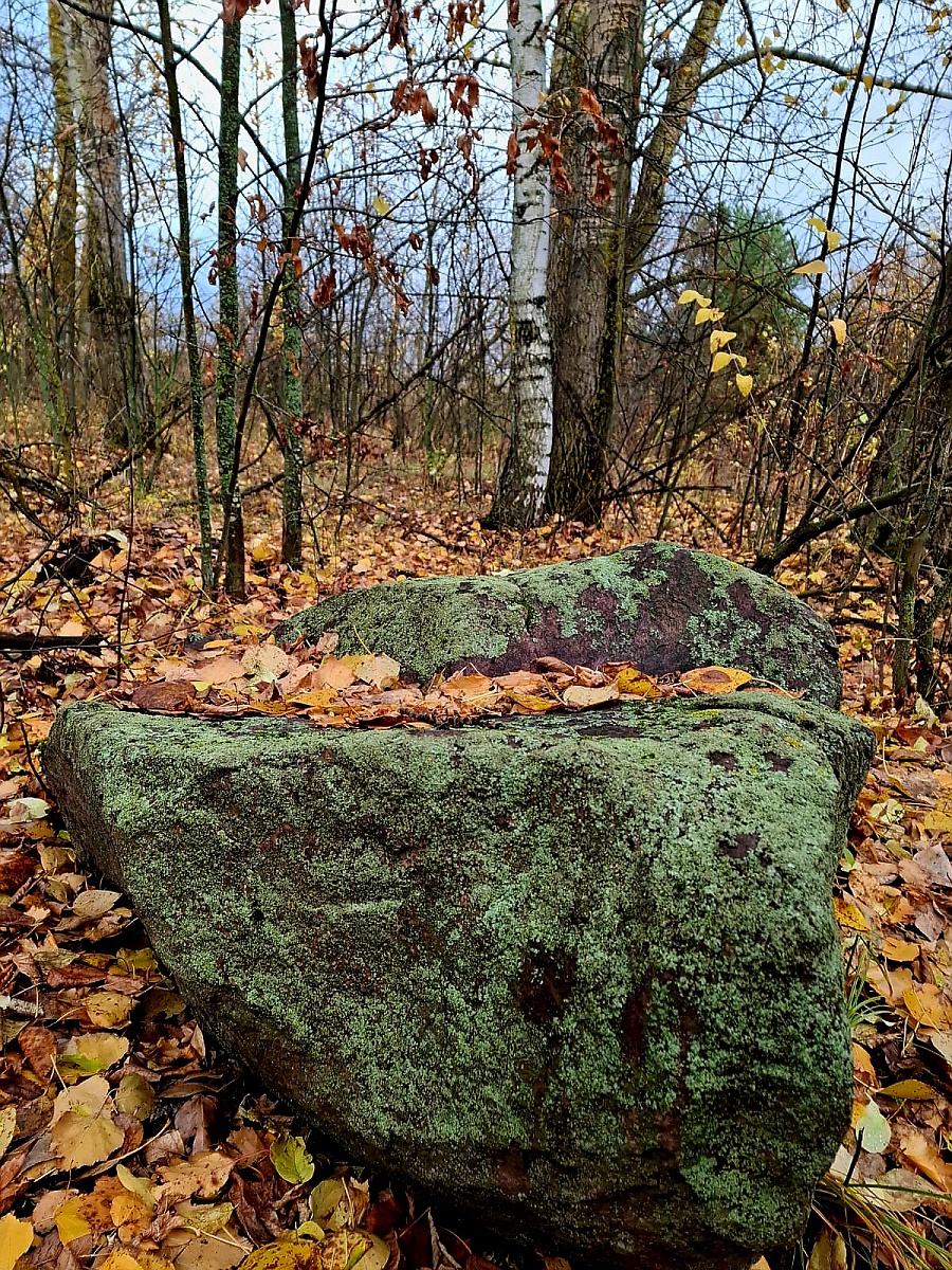 ЗОЛОТАЯ ОСЕНЬ — фото 13