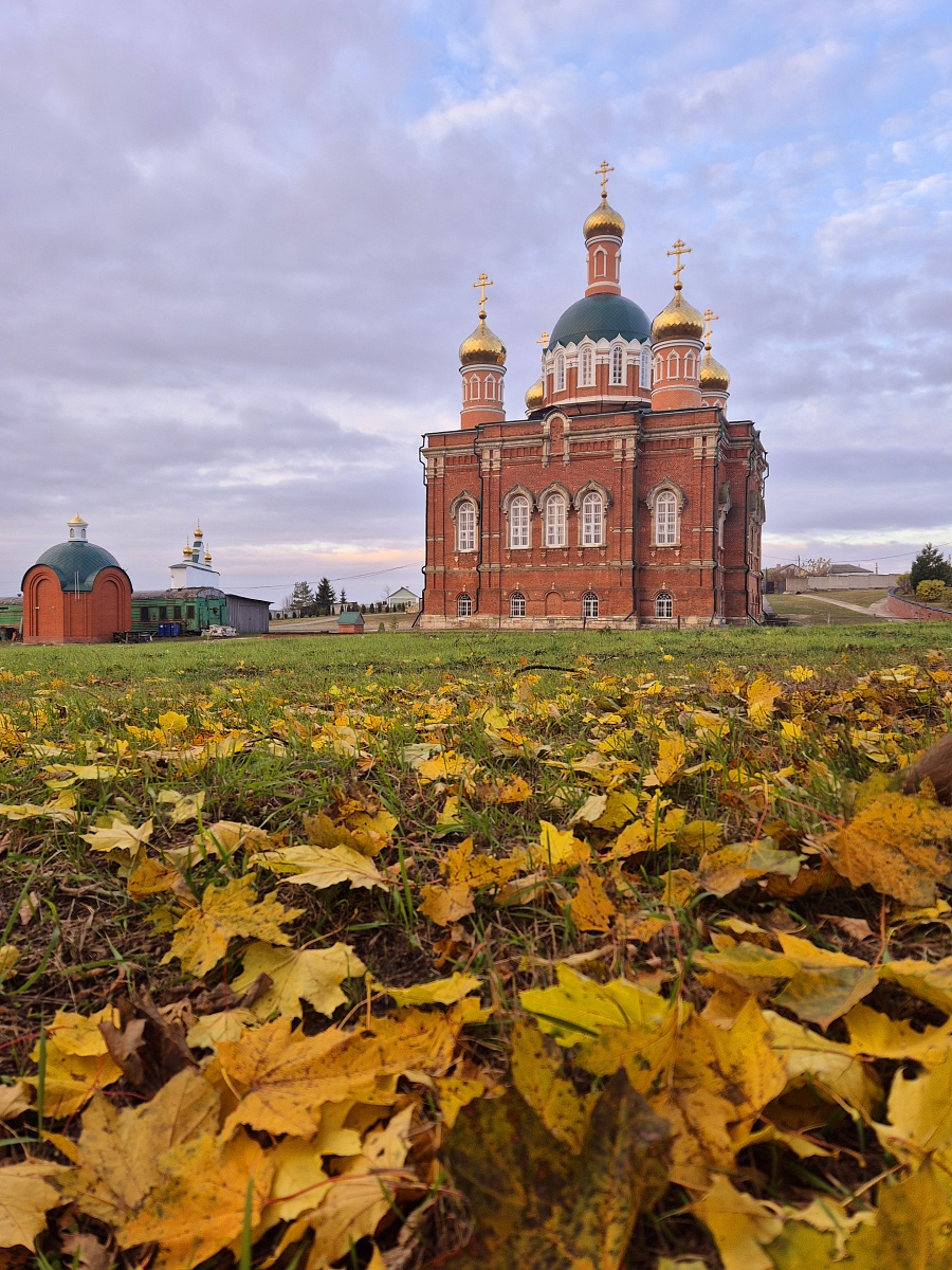 ЗОЛОТАЯ ОСЕНЬ — фото 32