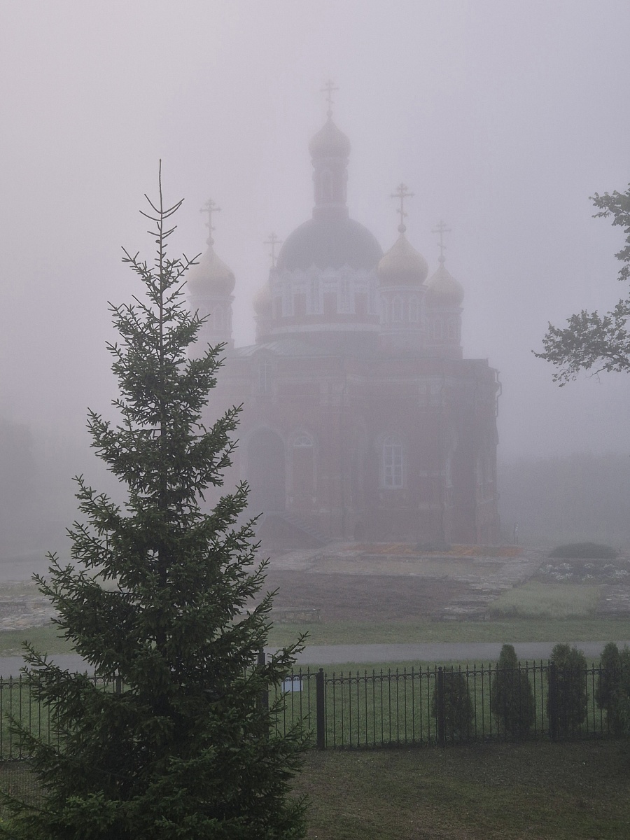 ЗОЛОТАЯ ОСЕНЬ — фото 29