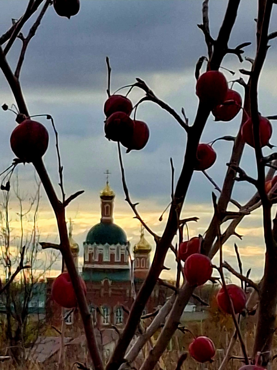 ЗОЛОТАЯ ОСЕНЬ — фото 19