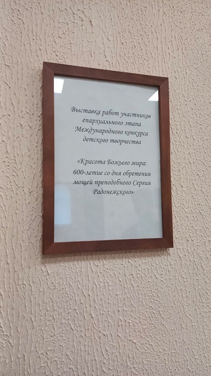 Участие в XXXI Рождественских чтениях — фото 5