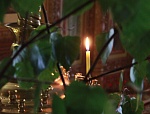 О Троицкой родительской субботе. О Троицкой родительской субботе.